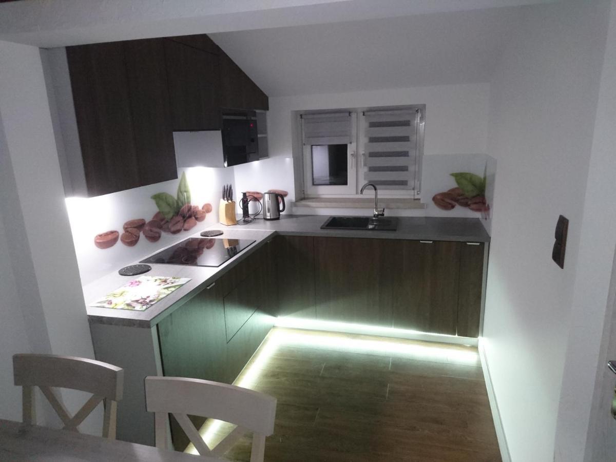 Apartament Elbrus Czyrna Szczyrk Wypozyczalnia Rowerow E-Bike Czyrna Szkola Narciarska & Wypozyczalnia Ski Serwis 外观 照片